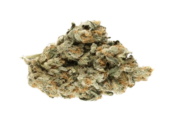 Madrecan 24/1 Skywalker