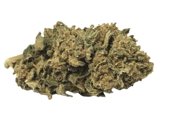 mediproCan Lunaris 19/1