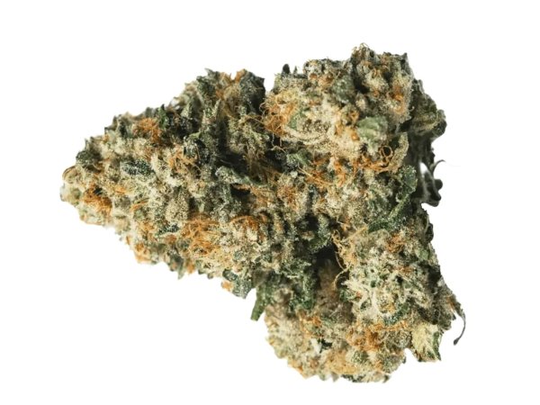 mediproCan Lunaris 23/1