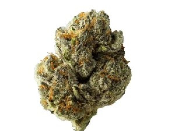 Cannamedical CM 30/1 DM