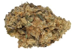 Cannamedical Sativa forte Animal Tree